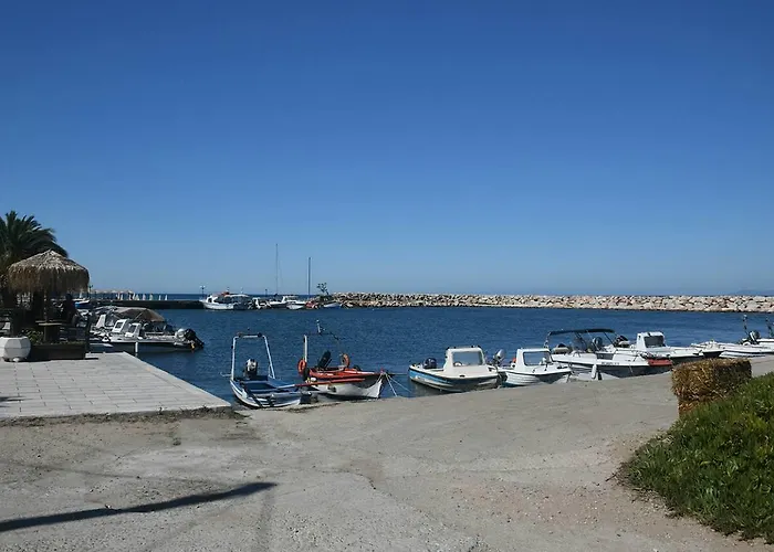 Pan Mare *